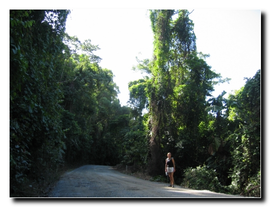 010 Wanderung zum Fig Tree